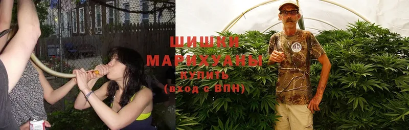 где купить наркоту  Ряжск  Канабис SATIVA & INDICA 